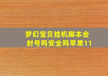 梦幻宝贝挂机脚本会封号吗安全吗苹果11