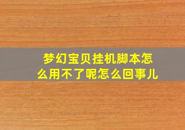 梦幻宝贝挂机脚本怎么用不了呢怎么回事儿