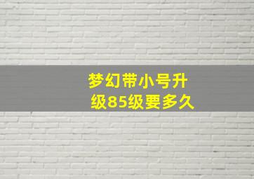 梦幻带小号升级85级要多久