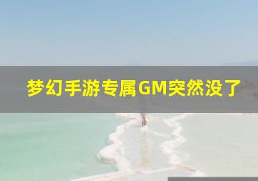 梦幻手游专属GM突然没了