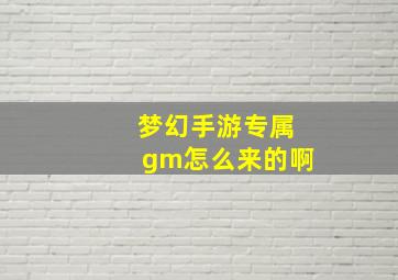 梦幻手游专属gm怎么来的啊