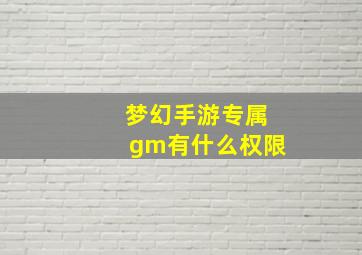 梦幻手游专属gm有什么权限