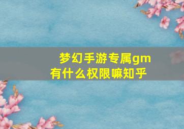 梦幻手游专属gm有什么权限嘛知乎