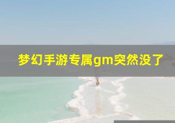 梦幻手游专属gm突然没了