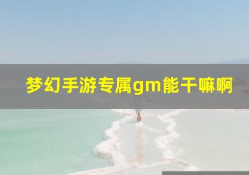 梦幻手游专属gm能干嘛啊