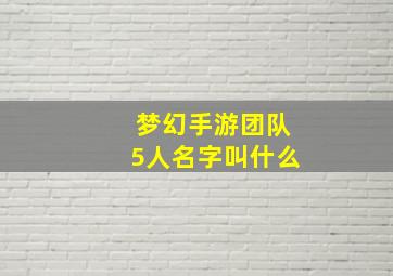 梦幻手游团队5人名字叫什么