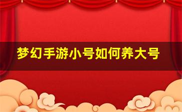 梦幻手游小号如何养大号