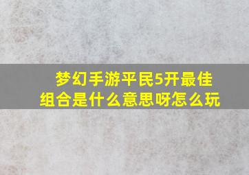 梦幻手游平民5开最佳组合是什么意思呀怎么玩