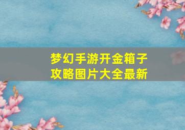 梦幻手游开金箱子攻略图片大全最新