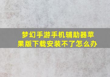 梦幻手游手机辅助器苹果版下载安装不了怎么办