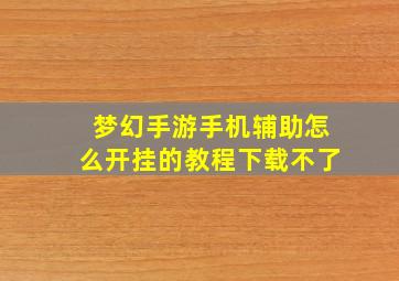 梦幻手游手机辅助怎么开挂的教程下载不了