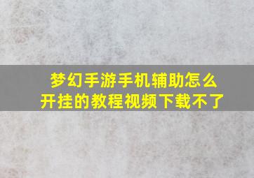 梦幻手游手机辅助怎么开挂的教程视频下载不了