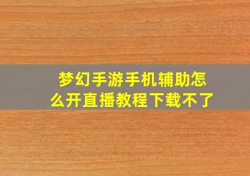 梦幻手游手机辅助怎么开直播教程下载不了