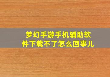 梦幻手游手机辅助软件下载不了怎么回事儿