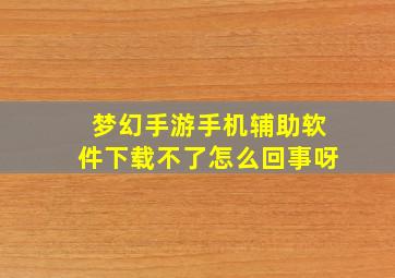 梦幻手游手机辅助软件下载不了怎么回事呀