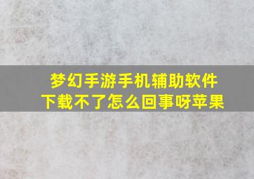 梦幻手游手机辅助软件下载不了怎么回事呀苹果