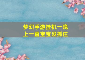 梦幻手游挂机一晚上一直宝宝没抓住