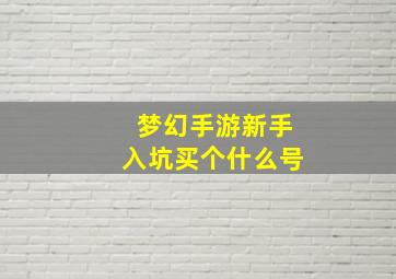 梦幻手游新手入坑买个什么号