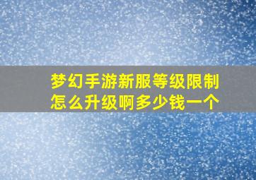 梦幻手游新服等级限制怎么升级啊多少钱一个