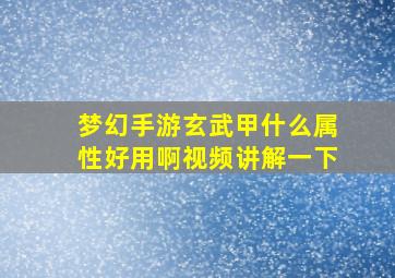 梦幻手游玄武甲什么属性好用啊视频讲解一下