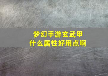 梦幻手游玄武甲什么属性好用点啊