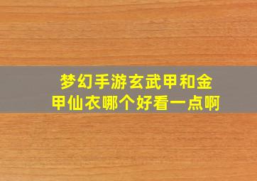 梦幻手游玄武甲和金甲仙衣哪个好看一点啊