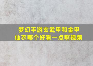 梦幻手游玄武甲和金甲仙衣哪个好看一点啊视频