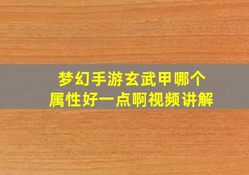 梦幻手游玄武甲哪个属性好一点啊视频讲解