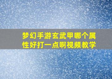 梦幻手游玄武甲哪个属性好打一点啊视频教学