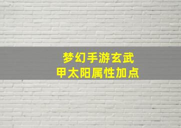 梦幻手游玄武甲太阳属性加点