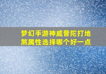 梦幻手游神威普陀打地煞属性选择哪个好一点