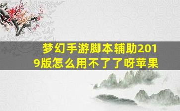 梦幻手游脚本辅助2019版怎么用不了了呀苹果