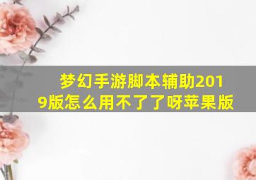 梦幻手游脚本辅助2019版怎么用不了了呀苹果版