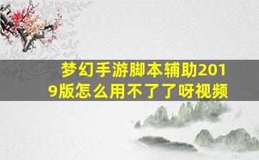 梦幻手游脚本辅助2019版怎么用不了了呀视频