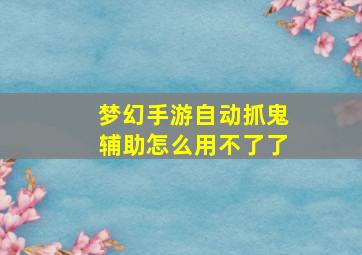 梦幻手游自动抓鬼辅助怎么用不了了