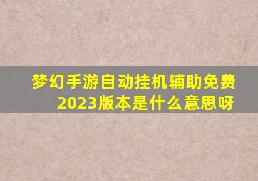 梦幻手游自动挂机辅助免费2023版本是什么意思呀