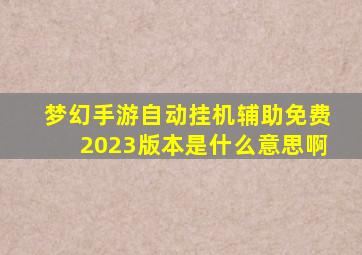 梦幻手游自动挂机辅助免费2023版本是什么意思啊