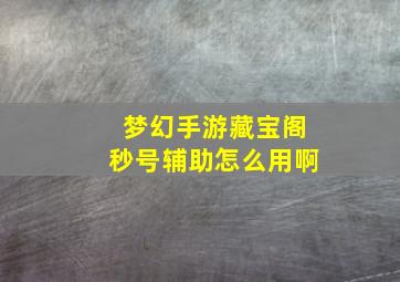 梦幻手游藏宝阁秒号辅助怎么用啊