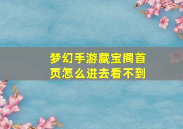 梦幻手游藏宝阁首页怎么进去看不到