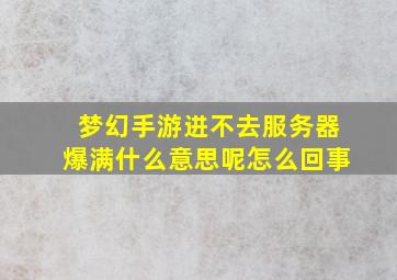 梦幻手游进不去服务器爆满什么意思呢怎么回事