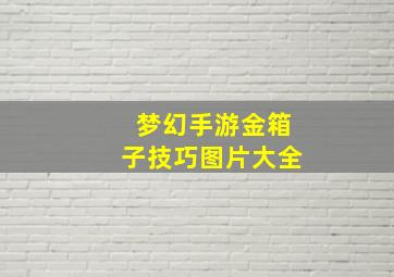 梦幻手游金箱子技巧图片大全