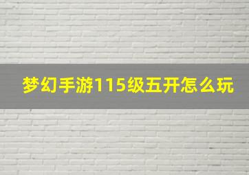 梦幻手游115级五开怎么玩