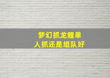 梦幻抓龙鲤单人抓还是组队好