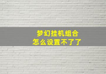 梦幻挂机组合怎么设置不了了