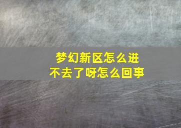 梦幻新区怎么进不去了呀怎么回事