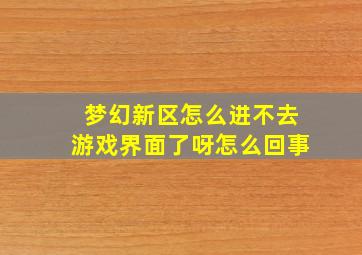 梦幻新区怎么进不去游戏界面了呀怎么回事