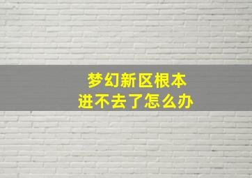 梦幻新区根本进不去了怎么办