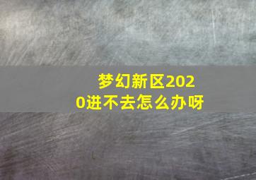 梦幻新区2020进不去怎么办呀