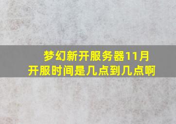 梦幻新开服务器11月开服时间是几点到几点啊