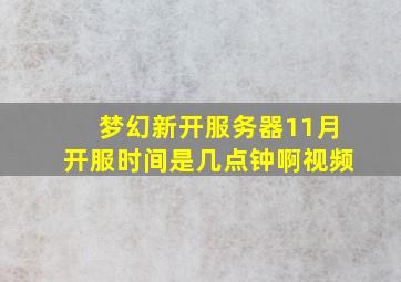 梦幻新开服务器11月开服时间是几点钟啊视频